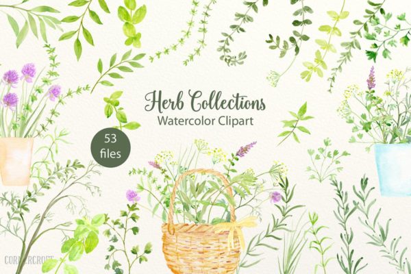 绿色草本植物水彩剪贴画插画合集 Watercolor Herb Collection