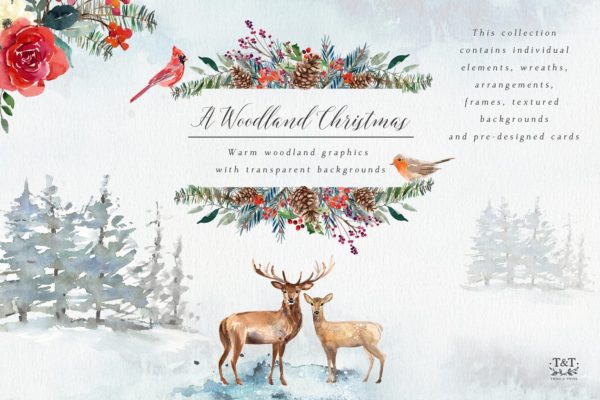 圣诞主题设计素材包（独立对象、背景、花卉等） Christmas Graphics &#8211; Woodland