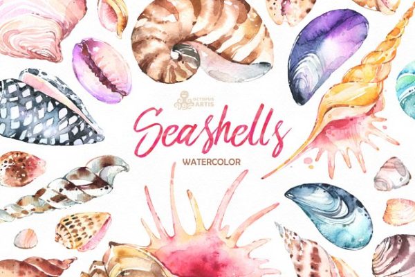 奇形怪状的贝壳水彩画素材集合 Seashells. Watercolor collection
