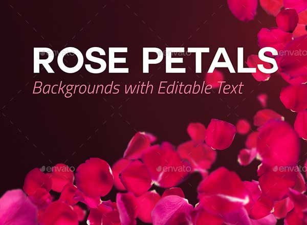 可编辑文本玫瑰花瓣背景素材 4 Rose Petals Backgrounds with Editable Text
