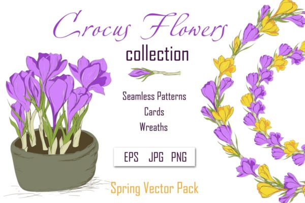 春天藏红花水彩插画设计素材 Crocus. Spring Flowers collection