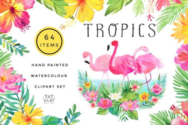 火烈鸟/热带植物水彩素材 Watercolour Clipart Set &#8211; Tropics