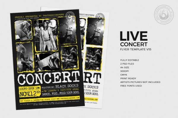 现场音乐聚会传单PSD模板v15 Live Concert Flyer PSD V15