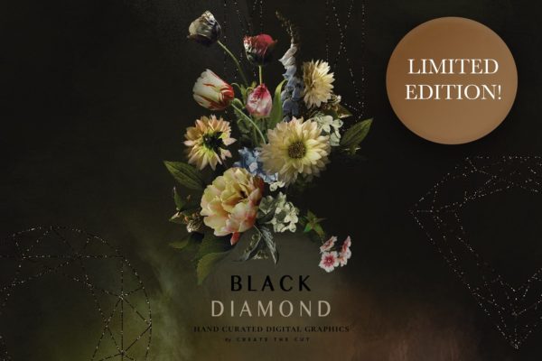 复古风格花卉透明背景剪贴画 Limited Edition &#8211; Black Diamond
