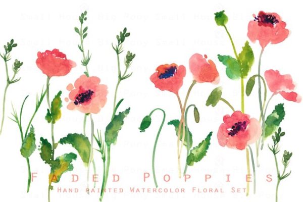 优雅水彩手绘罂粟花矢量插画 Faded Poppies-Watercolor Clip Art