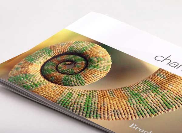宣传小册子排版设计模板 Chameleon Free InDesign Brochure Template