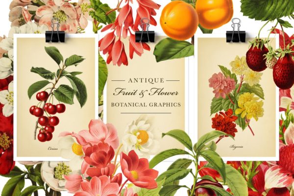 复古风格水果&amp;花卉剪贴画素材 Antique Fruit &amp; Flowers Graphics