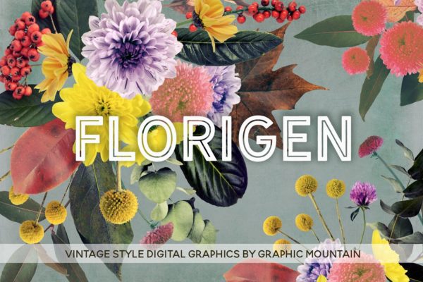 复古风格浪漫花集剪贴画集 Florigen Vintage Style Clip Art Set