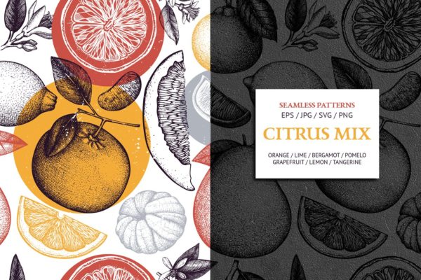 柑橘属果实图案纹理 Citrus Fruits Patterns Collection