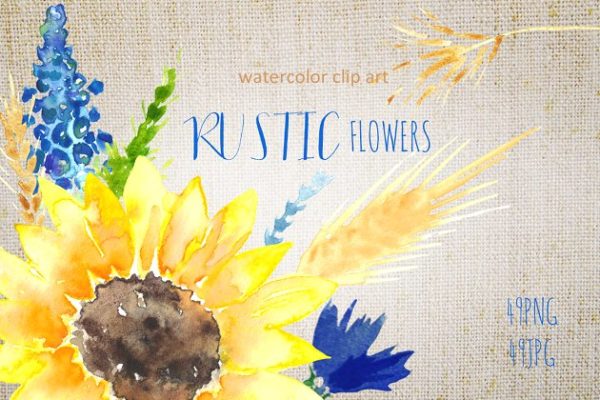 美丽手绘水彩田野草本植物插画 Sunflowers rustic watercolor clipart