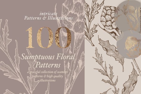 超高清分辨率花卉图案与插图 Floral Patterns &amp; Illustrations [2.19GB]