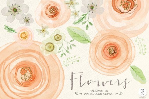 花卉，蔷薇，毛茛等水彩元素 Watercolor flowers, rose, ranunculus