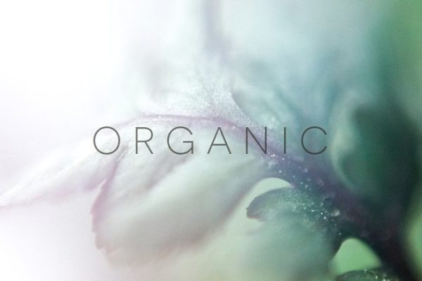 20张高清分辨率花卉植物特写镜头照片 Organic