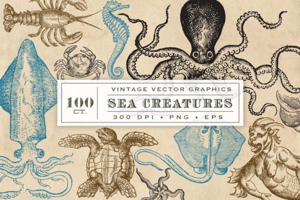 海洋生物旧书插画集 Antique Sea Creatures &amp; Monsters