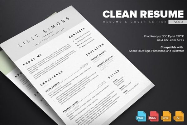 清新简约个人简历模板v3 Clean Resume Template Vol.3