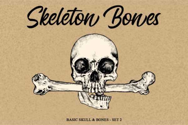 骷髅骨头手绘矢量插画套装v2 Skeleton Handrawn set 2