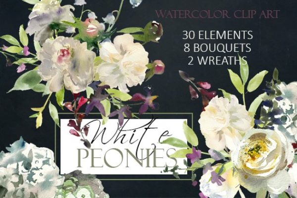白色水彩花卉剪贴画 Watercolor Wh