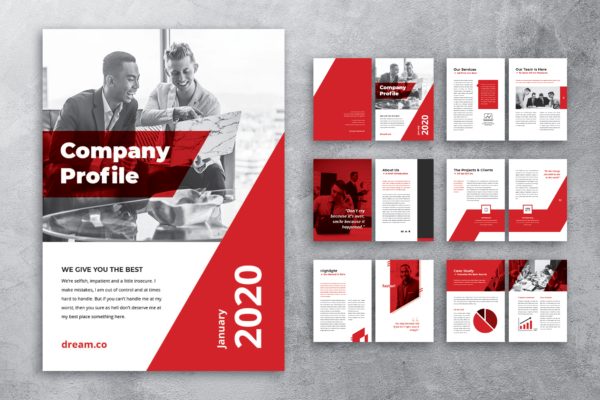 企业成功案例/企业简介画册设计模板 Company Profile