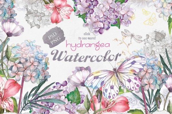 八仙花水彩剪贴画素材 Hydrangea flowers