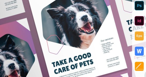 宠物美容护理宠物店推广海报模板