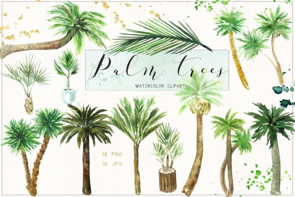 椰子树水彩剪贴画 Palm trees. Watercolor clipart.