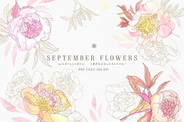 九月淡雅风水彩手绘花卉插画素材v2 September Flowers vol.2