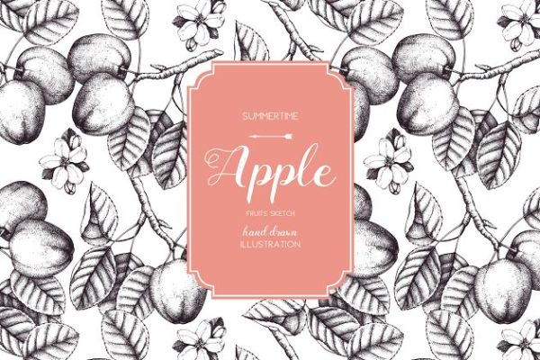 复古手绘苹果树矢量剪贴画 Vector Apple Trees Illustrations