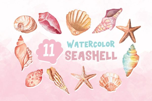 11款水彩贝壳插画合集 11 Watercolor Seashell Illustration Graphics