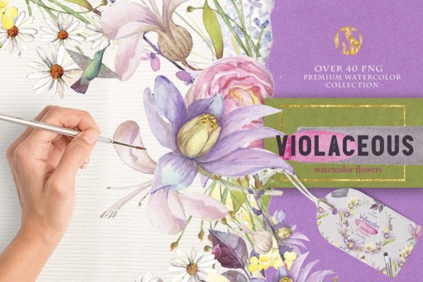 紫罗兰色水彩花卉插画素材 Violaceous watercolors