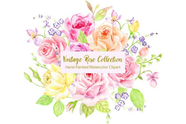 经典手绘水彩玫瑰元素合集 Watercolor Classic Vintage Rose