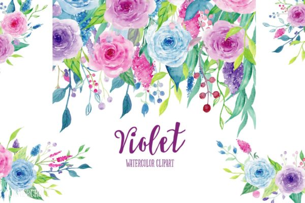 紫罗兰色水彩花卉剪贴画素材合集 Watercolor Clipart Violet Collection