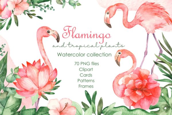 火烈鸟＆热带植物水彩插画素材 Watercolor flamingos and tropical plants