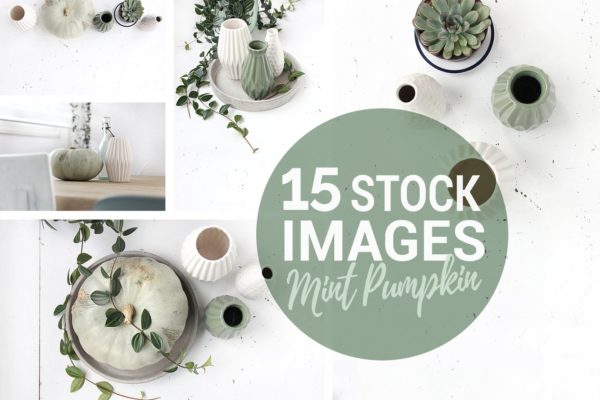 绿色盆栽植物纹理 Mint pumpkin, Styled stock photos