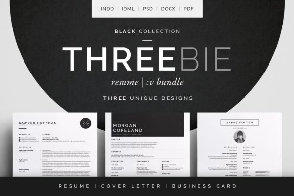 简约实用风格简历模板套装[三种风格] Threebie Resume/CV Bundle 1