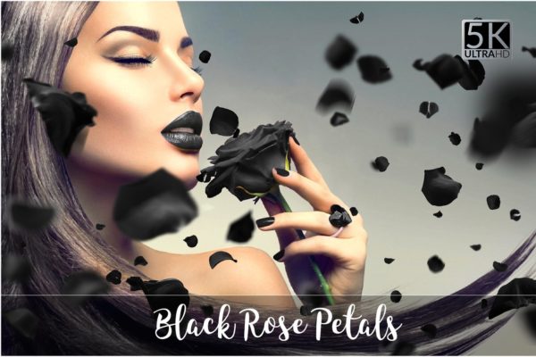 5K高清黑玫瑰元素叠层背景素材 5K Black Rose Petals Overlays
