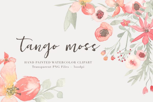 21款独特手绘花卉和树叶图形 Watercolor  Floral Clipart &#8211; Tango