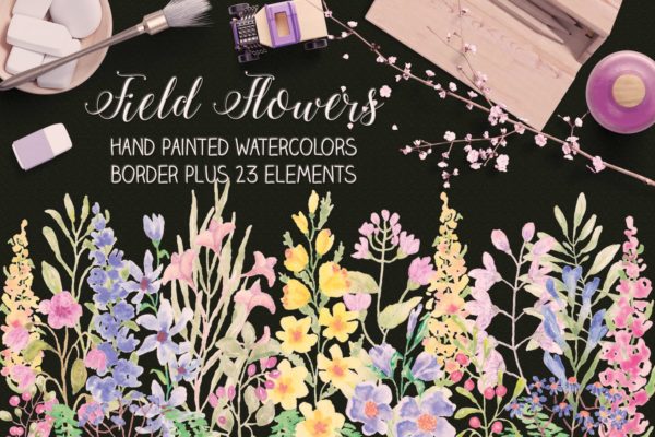 水彩手绘花卉边框&amp;元素PNG素材 Field Flowers: Watercolor Border plus Elements
