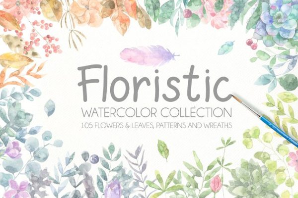 水彩植物插画合集 Floristic Watercolor Collection Pro