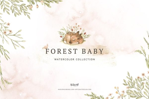 水彩森林动物宝贝水彩插画 Watercolor Forest Baby