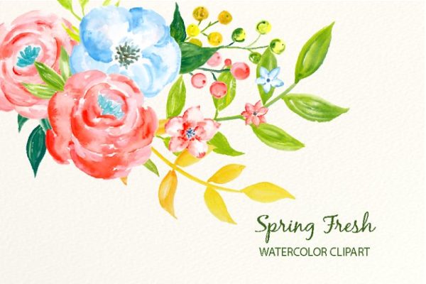 春季新鲜蓝粉色系水彩花卉插画 Watercolor Clipart Spring Fresh