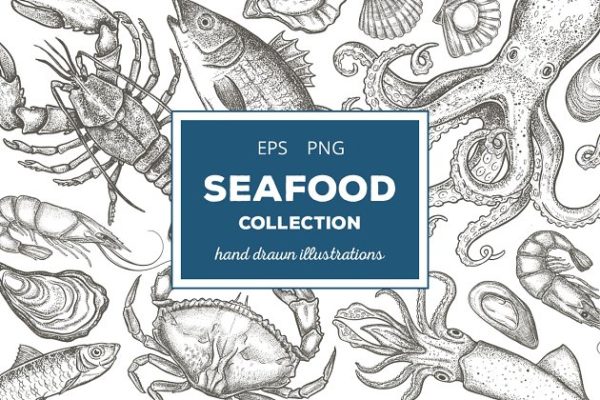 复古粗略风格的手绘海鲜插图合集 Seafood Illustrations