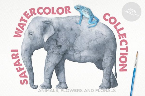 冒险之旅水彩素材合集（飞禽走兽、昆虫元素、纹理&amp;额外的字体） Safari Watercolor Collection Pro