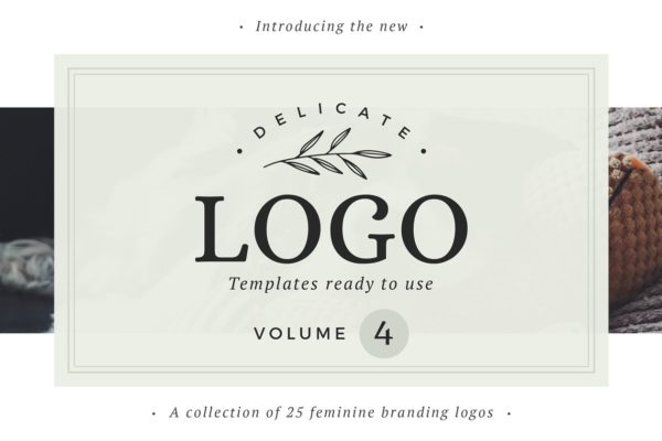 即拿即用优雅风格英文Logo设计模板 Delicate Logos &#8211; Volume 04