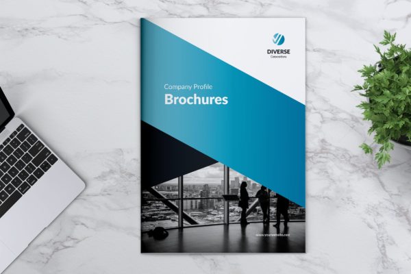 多元化大型公司简介企业画册设计模板 DIVERSE Professional Company Profile Brochures