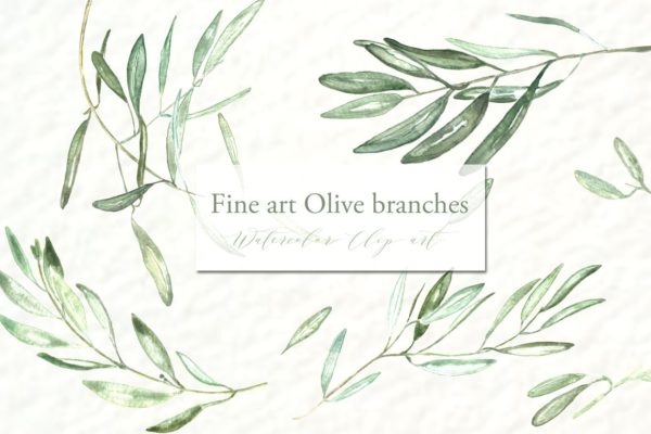 橄榄枝美术水彩剪贴画 Olive branches. Fine art Watercolor