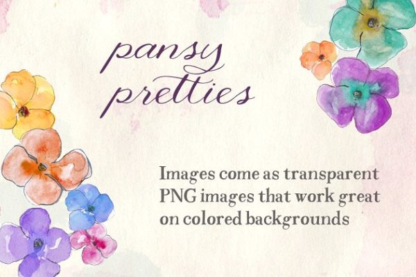 漂亮的手绘水彩三色紫罗兰插画素材 Watercolor Pansies