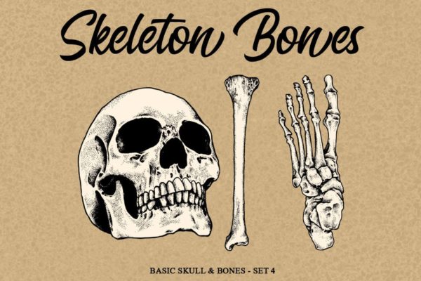 人体骨骼骷髅矢量手绘插画素材v4 Skeleton Bones set 4