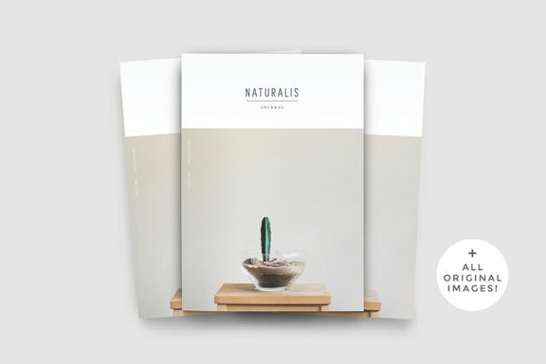 盆栽植物主题杂志模板 NATURALIS Lookbook / Magazine
