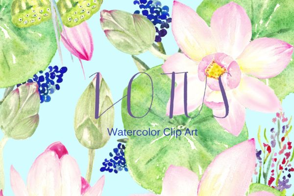 粉色莲花水彩剪贴画 Pink Lotus. Watercolor Clipart.
