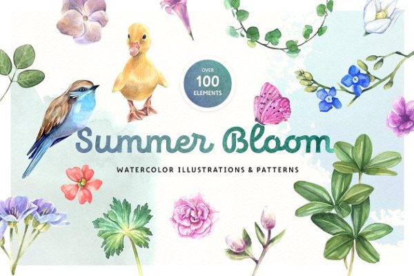 夏日水彩植物动物矢量图形+水彩花卉纹理 Summer Watercolor Motives Set
